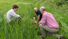 Penrith Monitor Farm meeting: IPM and biostimulants 